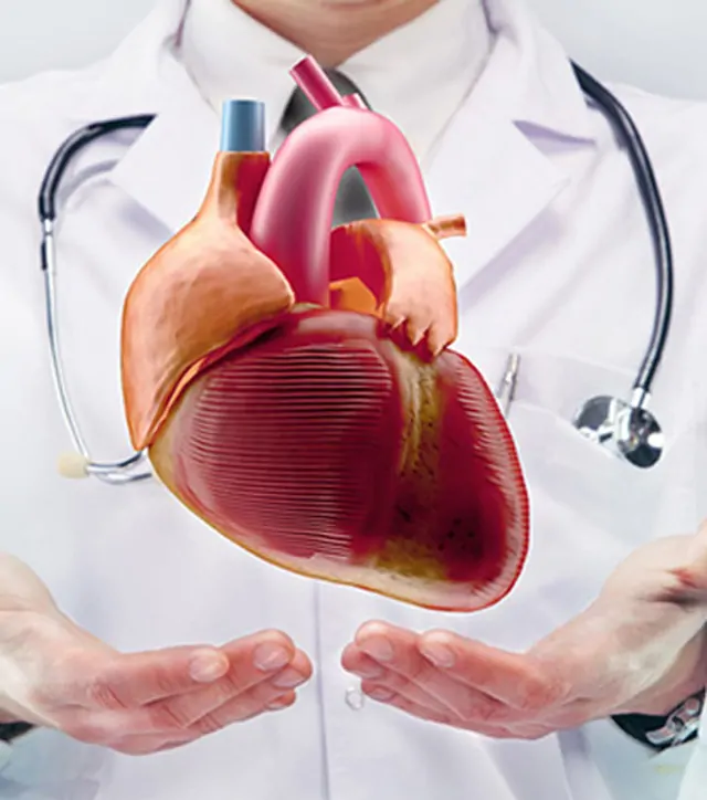 Bilier Sistem Drenajı / Balon / Stent Uygulamarı 