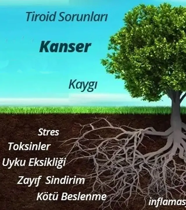 Fonksiyonel Tıp Hekimi Kimdir?